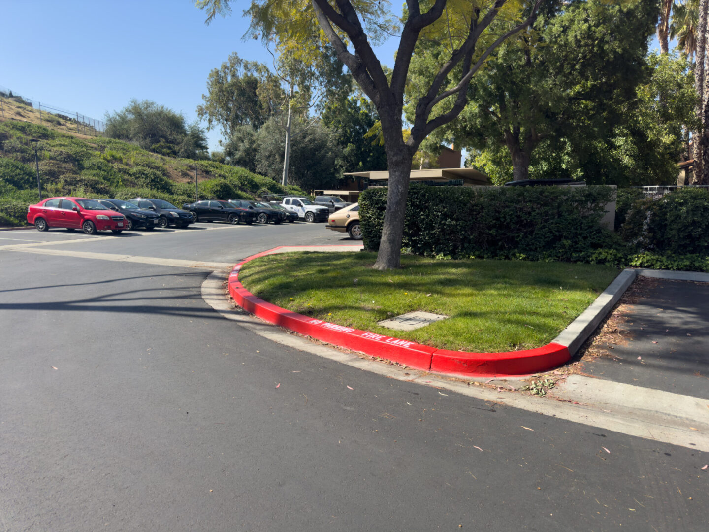 A red-painted curb with "No Parking, Fire Lane" text in a parking lot area, surrounded by trees and parked cars, under a clear blue sky.